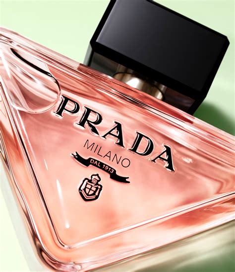 prada termini e condizioni|Paradoxe .